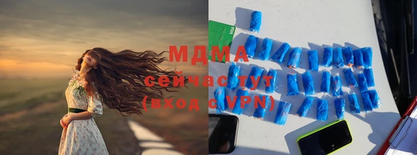 хмурый Каменка