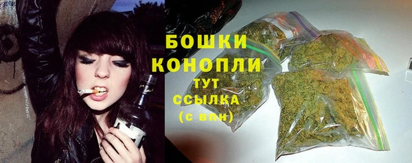 трава Весьегонск