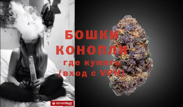 хмурый Каменка