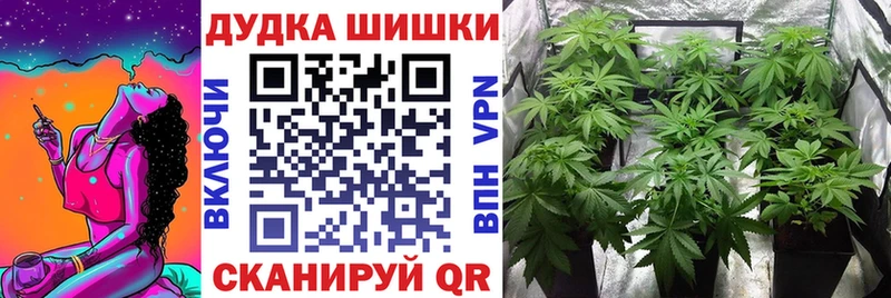 Конопля SATIVA & INDICA где продают кракен рабочий сайт Кондрово